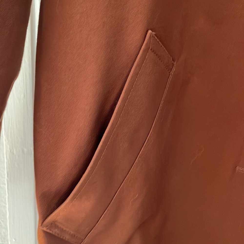 Everlane Rust Brown Pea Coat - Picture 3 of 9